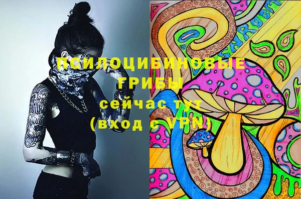 индика Алексин