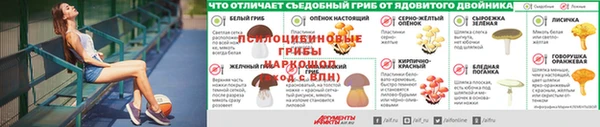 индика Алексин