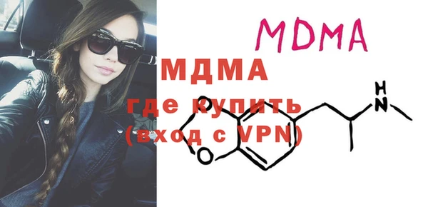 индика Алексин