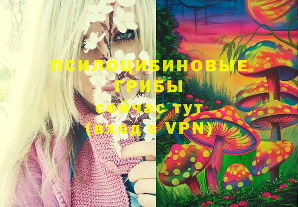таблы Алексеевка