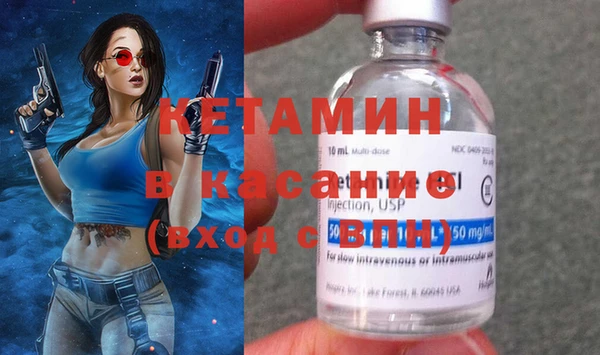 индика Алексин