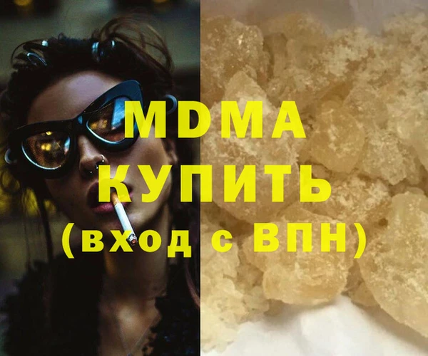 индика Алексин