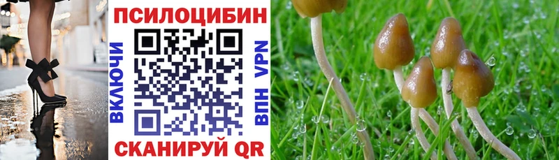 Псилоцибиновые грибы Magic Shrooms Чехов